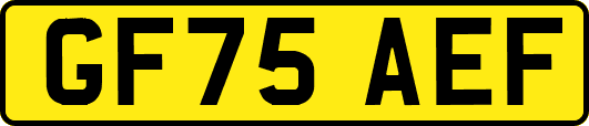 GF75AEF