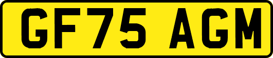 GF75AGM