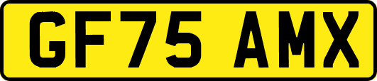 GF75AMX