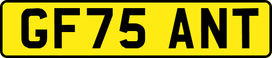 GF75ANT