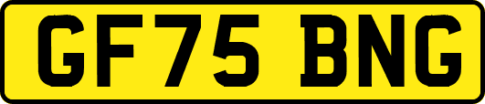 GF75BNG