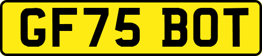 GF75BOT