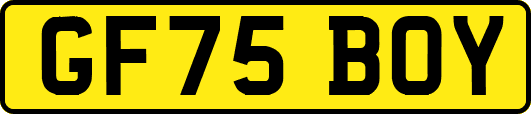 GF75BOY