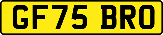 GF75BRO