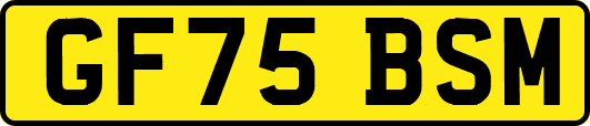 GF75BSM