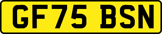 GF75BSN