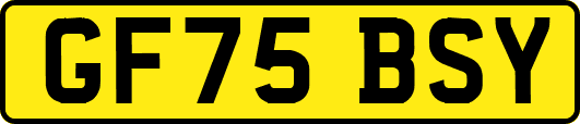 GF75BSY