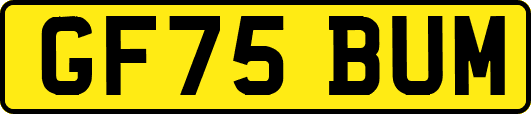 GF75BUM
