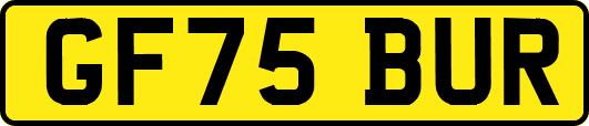 GF75BUR