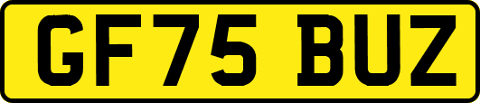 GF75BUZ