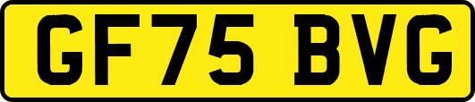 GF75BVG