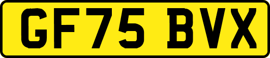 GF75BVX