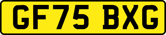 GF75BXG