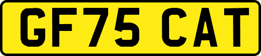 GF75CAT