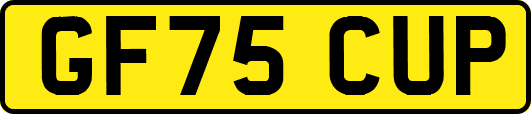 GF75CUP