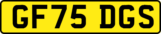 GF75DGS