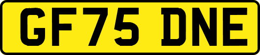 GF75DNE