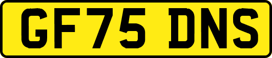 GF75DNS