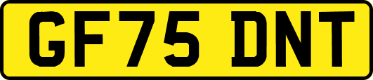 GF75DNT