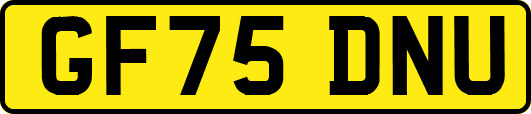 GF75DNU