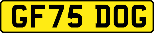 GF75DOG