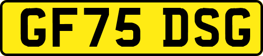 GF75DSG