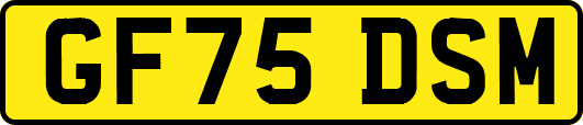 GF75DSM