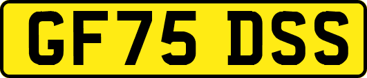 GF75DSS