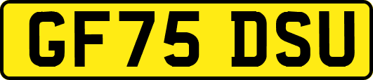 GF75DSU