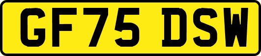 GF75DSW