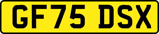 GF75DSX