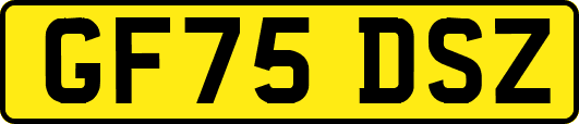 GF75DSZ