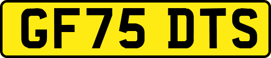 GF75DTS