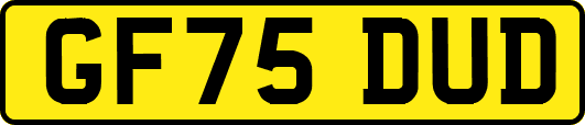 GF75DUD
