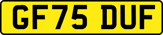 GF75DUF
