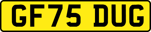 GF75DUG