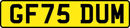 GF75DUM