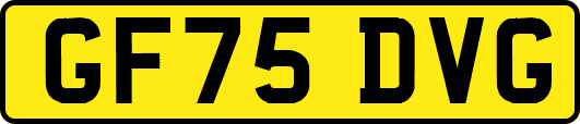GF75DVG