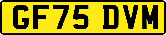 GF75DVM