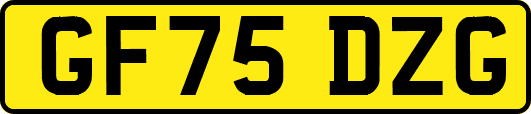 GF75DZG