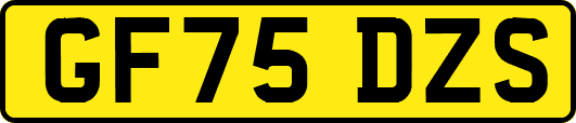 GF75DZS