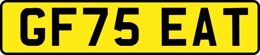 GF75EAT