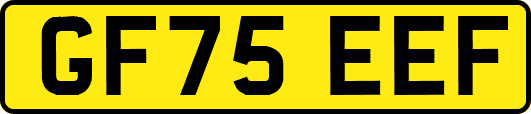 GF75EEF
