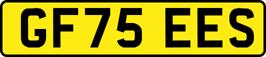 GF75EES