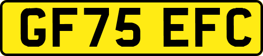 GF75EFC