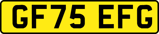 GF75EFG