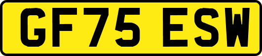 GF75ESW