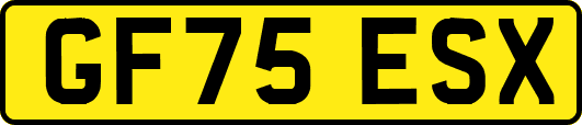 GF75ESX