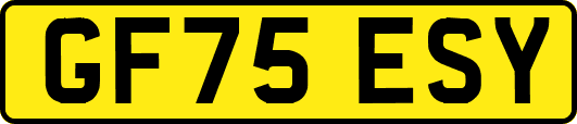 GF75ESY