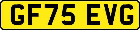 GF75EVG